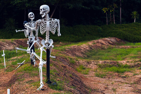Human skeleton props decorated in outdoor field for Halloween festival display. Plastic human skeleton models mounted on poles along grassy field with white cross markers. Halloween event decorations,