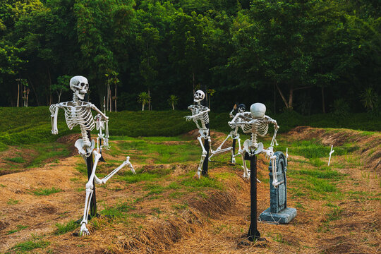Human skeleton props decorated in outdoor field for Halloween festival display. Plastic human skeleton models mounted on poles along grassy field with white cross markers. Halloween event decorations,