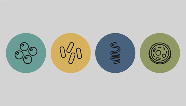 Four colorful circular icons depicting different types of microscopic bacteria and cell structures show biological diversity.
