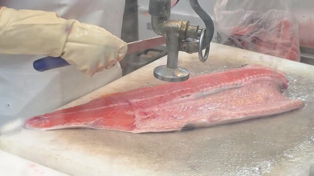 professional fishmonger filleting fresh raw red salmon fish with sharp knife on cutting board in seafood processing factory
