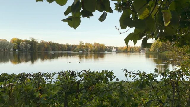 Tracking shot of serene Great Pond behind lush leaves. Smooth sideways camera movement reveals peaceful autumn waters. Shot in Catherine Park, Pushkin, Saint Petersburg.