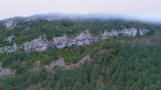 Aerial view from drone of the Ca&ntilde;&oacute;n del R&iacute;o Pur&oacute;n in the Valderejo Natural Park. Municipality of Valdegov&iacute;a. Province of &Aacute;lava. Basque Country. Spain. Europe