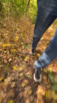 Man walking in autumn park