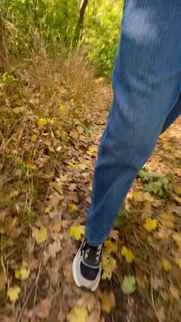 walking in the woods