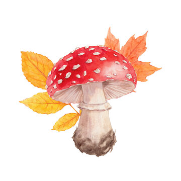 Red Amanita Mushroom with Autumn Leaves Watercolor Illustration