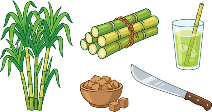 Sugarcane Agriculture Vector Illustration Set Featuring Fresh Stalks Green Plant Leaves Raw Sugar Cubes Juice Glass and Harvesting Machete Knife for Food Designs