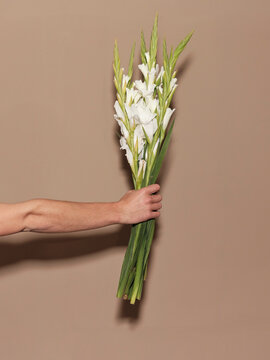 A hand holds a bunch of gladiolus against a light brown background