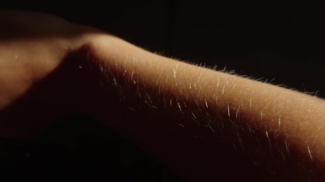 Hairy arm flexes at elbow in close up, with fine skin hair catching warm directional light. Forearm moves against deep black, forming dramatic and contemplative portrait of human texture.