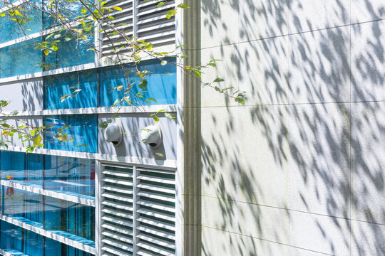Glass Building Wall with Louver Vents and Tree Leaf Shadows