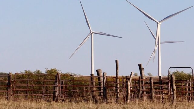 Wind turbines beyond cattle pen in Kansas