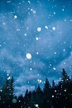 Direct flash snow flakes winter