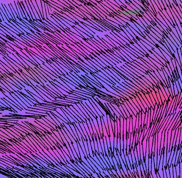 Abstract Background with Structured Lines
