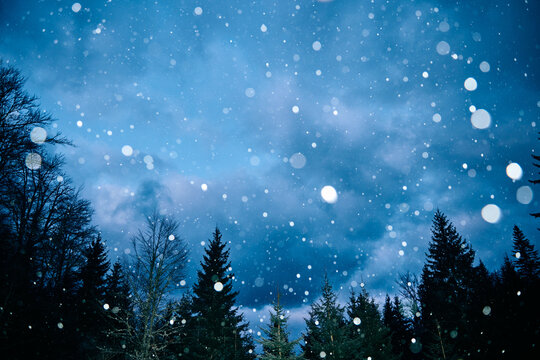 Direct flash snow flakes winter