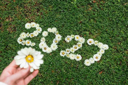 POV New Year Floral 2027