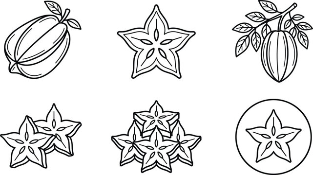 Tropical Carambola Star Fruit Element Icon Set Outline Vector Art Illustration