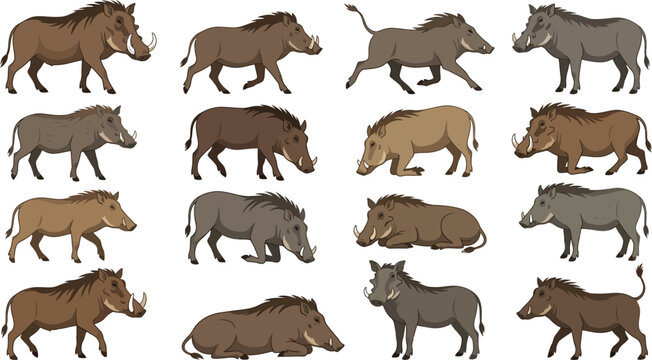 Warthog collection in various poses and styles on a white background vector illustration