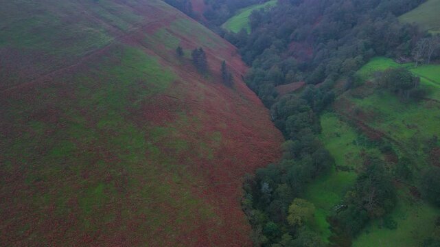 Aerial drone view of a winter landscape of hay meadows and forests in the Pisue&ntilde;a Valley. Los Valles Pasiegos region. Cantabria. Spain. Europe