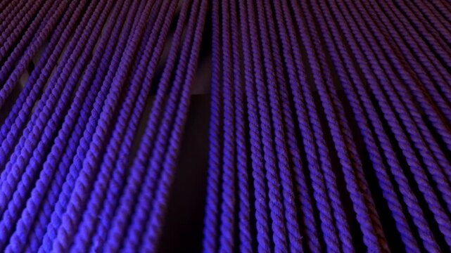 Concept vertical twisted ropes swaying against a dark background illuminated in vivid blue and red tones.
