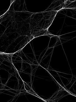 White spider web overlay texture with intricate cobweb threads isolated on dark black background