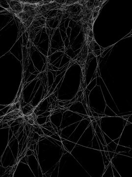 White spider web overlay texture with intricate cobweb threads isolated on dark black background