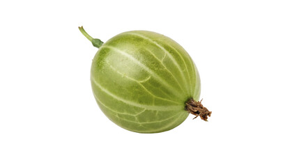 Single fresh green gooseberry berry with detailed texture isolated on transparent background © AmeliaLily