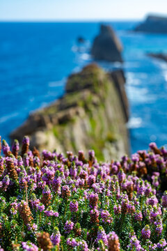 Aerial view of dramatic cliffs, sea stacks, and turquoise water along Costa Quebrada coastline, Cantabria, Northern Spain