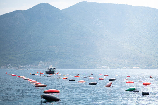 Shellfish farm with rows of colorful buoys floating on the water in the Bay of Kotor, Montenegro