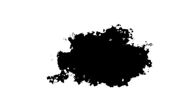 Abstract paint brush stroke shape black ink splattering flowing and washing on white background.4k animison
