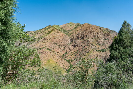 Rocky red-brown mountain slope with sparse vegetation under a clear blue sky in the Western Tian Shan, Uzbekistan.