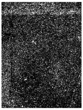 BickleNoiseOverlay1 - GRUNGE NOISE TEXTURE OVERLAY REAL UNIQUE VECTORIZED CONCRETE PHOTO POSTER BACKGROUND OVERLAY HEAVY SNOW LOOK