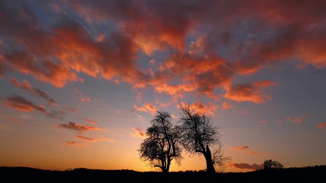 Timelapse of a magnificent tranquil afterglow after sunset with beautiful orange clouds in the dramatic sky and silhouettes of two trees on the horizon