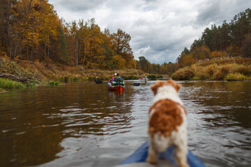 People paddling a kayak down a river behind a dog standing on the bow in autumn © WoodHunt