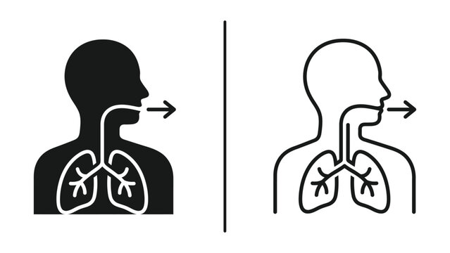 Human respiratory system illustration showing lungs and breathing process in solid and outline styles on a white background