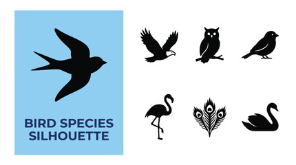 Fototapeta premium Collection of black silhouettes of different bird species isolated on white background