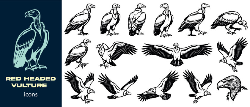 Red headed vulture icons set minimalist vector illustrations for