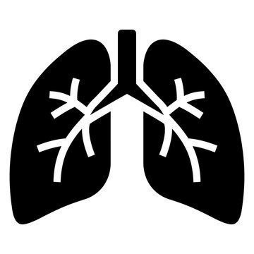 Black and white icon of human lungs with bronchioles representation human anatomy respiratory system medical icon