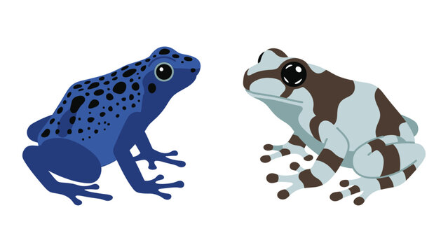 Blue Poison Dart Frog and Brown and White Poison Dart Frog, Two Cartoon Frogs