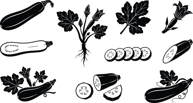 Variety of black silhouette zucchini and squash including whole sliced and flowers