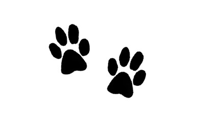 Two black animal paw prints isolated on transparent background © Johura