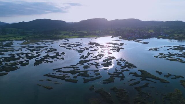 Aerial drone view of the marshes at low tide at sunset in Escalante in the Marismas de Santo&ntilde;a, Victoria y Joyel Natural Park. Cantabrian Sea. Santo&ntilde;a, Cantabria, Spain, Europe
