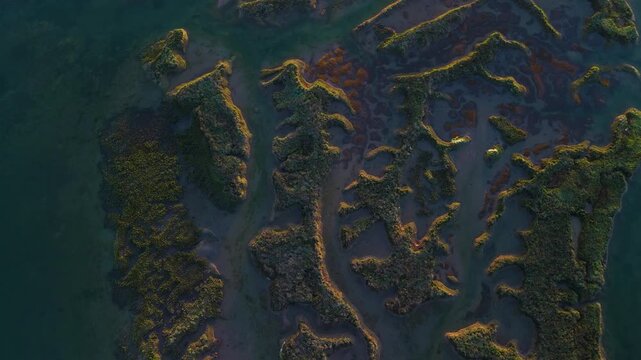 Aerial drone view of the marshes at low tide at sunset in Escalante in the Marismas de Santo&ntilde;a, Victoria y Joyel Natural Park. Cantabrian Sea. Santo&ntilde;a, Cantabria, Spain, Europe
