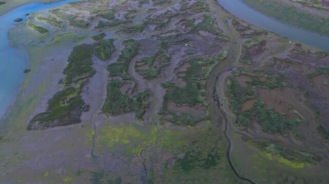 Aerial drone view of the marshes at low tide in Escalante in the Marismas de Santo&ntilde;a, Victoria y Joyel Natural Park. Cantabrian Sea. Santo&ntilde;a, Cantabria, Spain, Europe