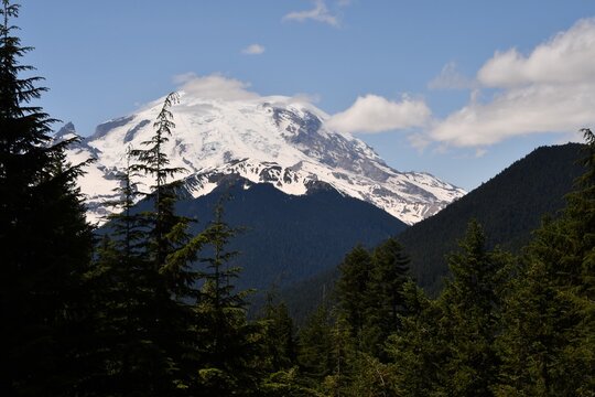 Mount Rainier Scenic View