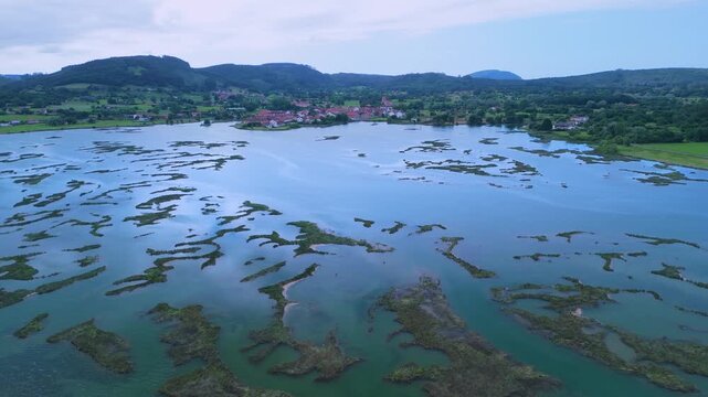 Aerial drone view of the marshes in Escalante in the Marismas de Santo&ntilde;a, Victoria y Joyel Natural Park. Cantabrian Sea. Santo&ntilde;a, Cantabria, Spain, Europe