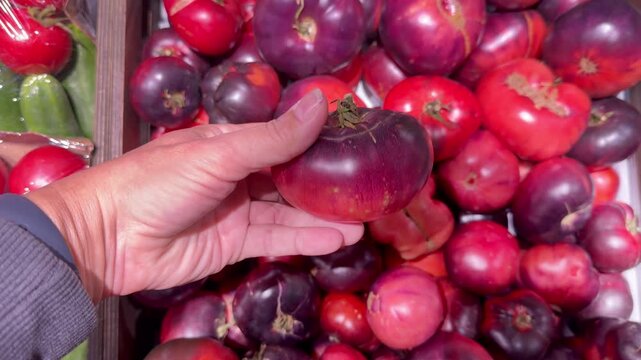 Red and Black Tomatoes on Display in Supermarket Vegetable Section &ndash; Assorted Dark and Bright Varieties on Shelf