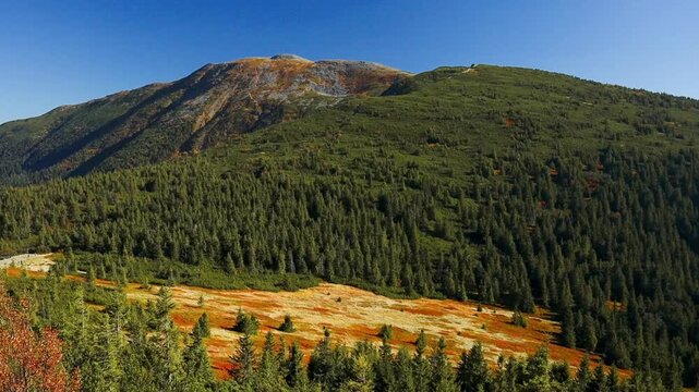 Scenic wide shot of the Babia Gora mountain range, showcasing colorful slopes with autumn vegetation, dense green coniferous woods, and a clear blue sky. 