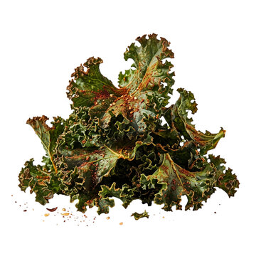 Crispy baked kale chips seasoned with spices on isolated cutout transparent background