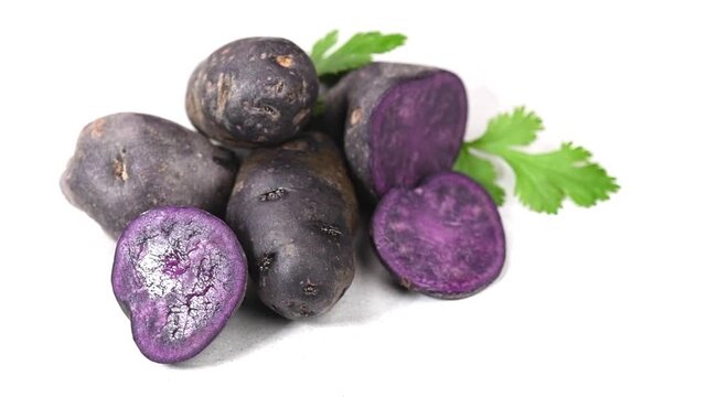 Violet potato Vitelotte, blue-violet raw potatoes close-up, rotating. Purple organic homegrown potato isolated on white background. Healthy vegan food, delicatessen. Chinese truffle potato. 