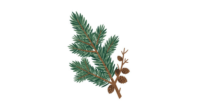 Spotted vector illustration. Christmas, December, card, ornament, holiday. Pine, spruce, fir tree branch with pines cones: decorative element on white background, botanical eps