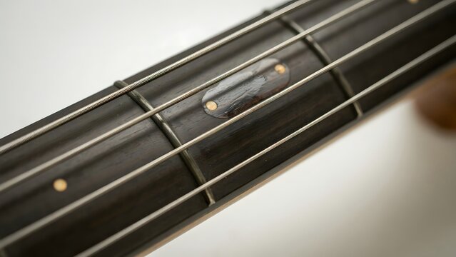 Close-up of a guitar fretboard showing fret wires and fret marker inlay on dark wood